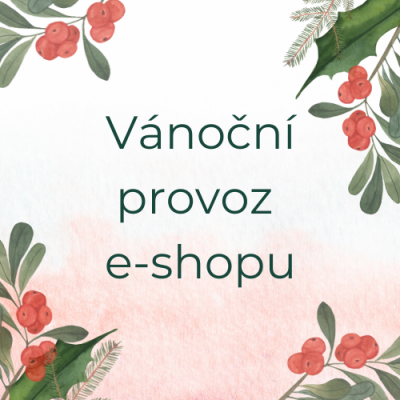 Vánoční provoz e-shopu