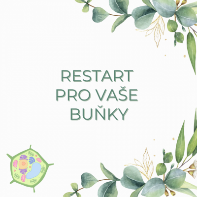 Zázrak pro restart našich buněk – Carnosine!