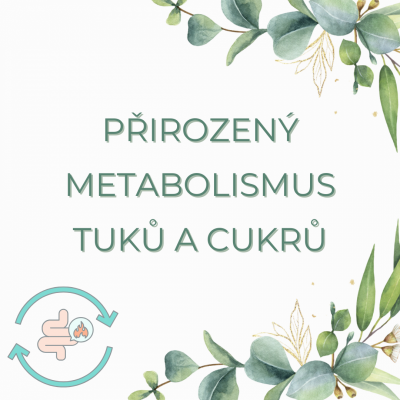 Jak podpořit přirozený metabolismus tuků a cukrů v těle?