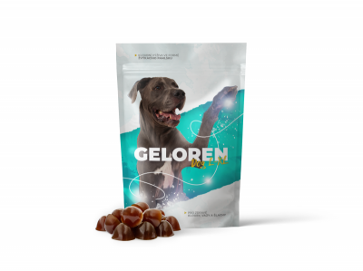 Geloren dog L-XL kloubní výživa tbl.60